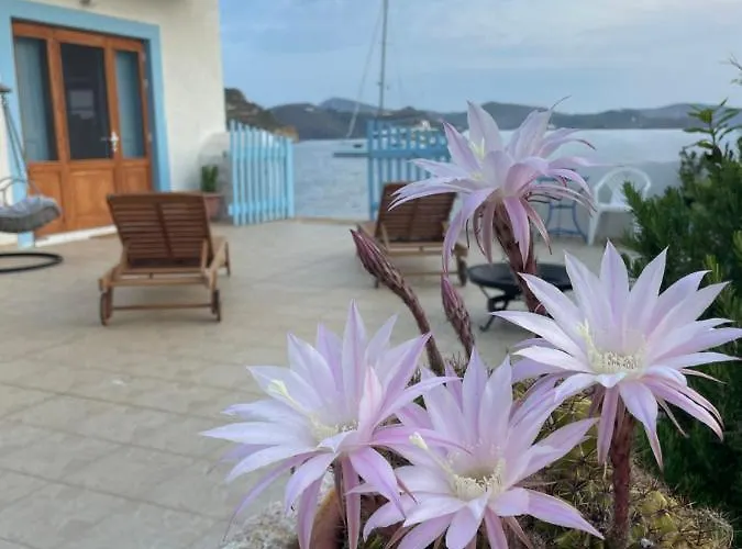 Patmos Horizon @sapsila Sapsila